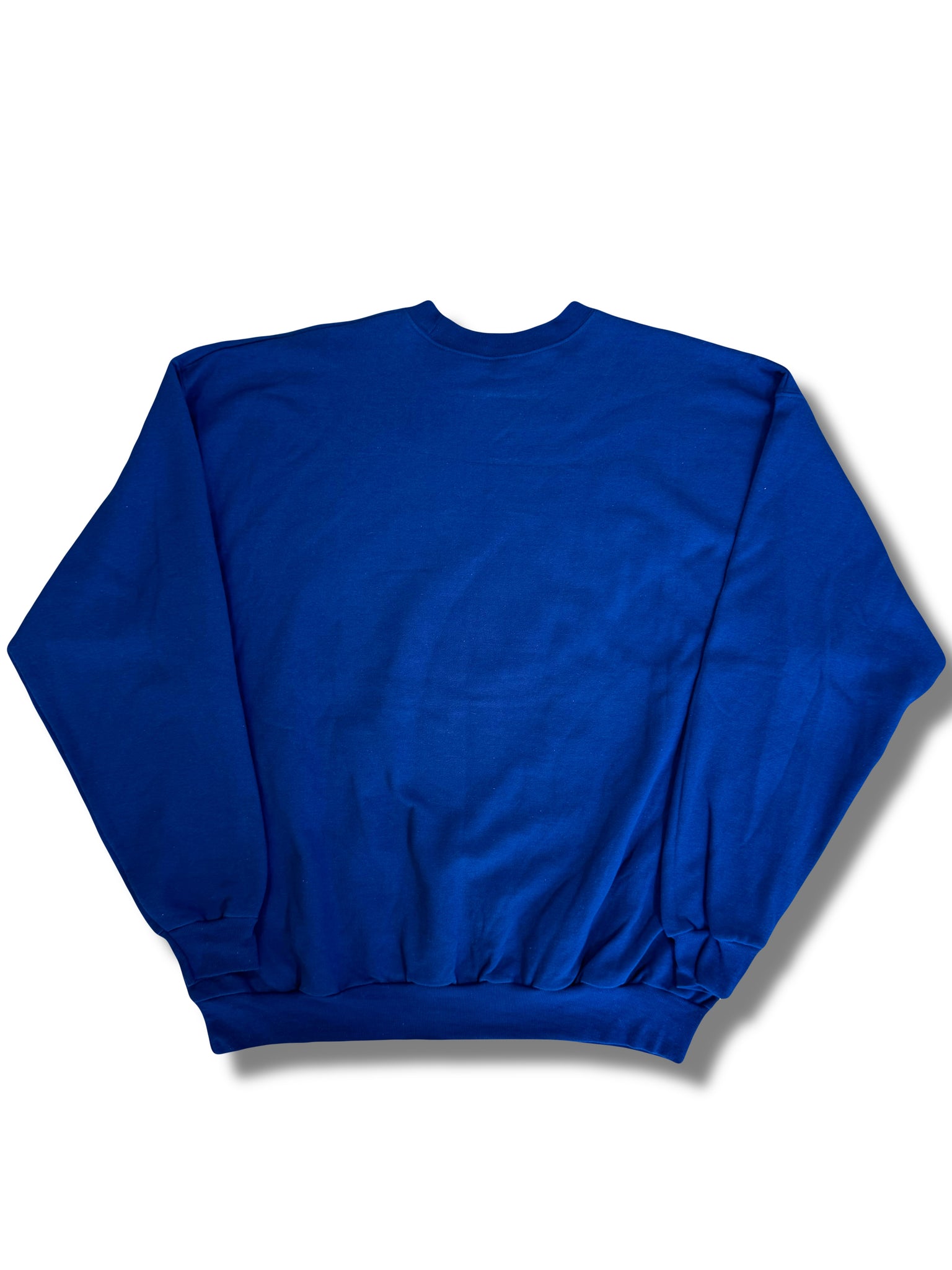 VINTAGE DISNEY WORLD SWEATSHIRT (2015)